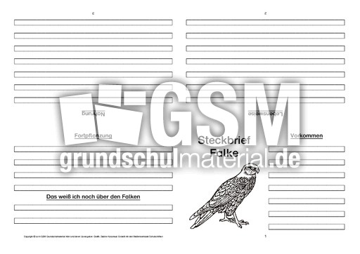Falke-Faltbuch-vierseitig.pdf